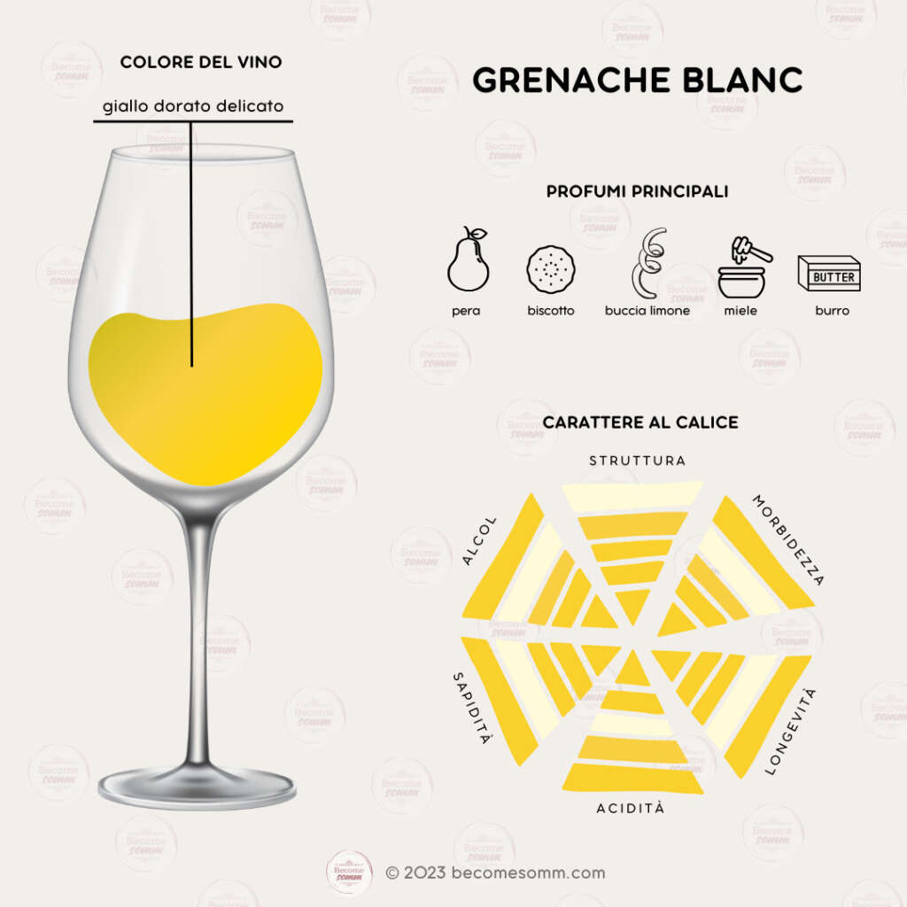 Profumi, sentori, sapori, aromas and flavours Grenache Blanc al calice