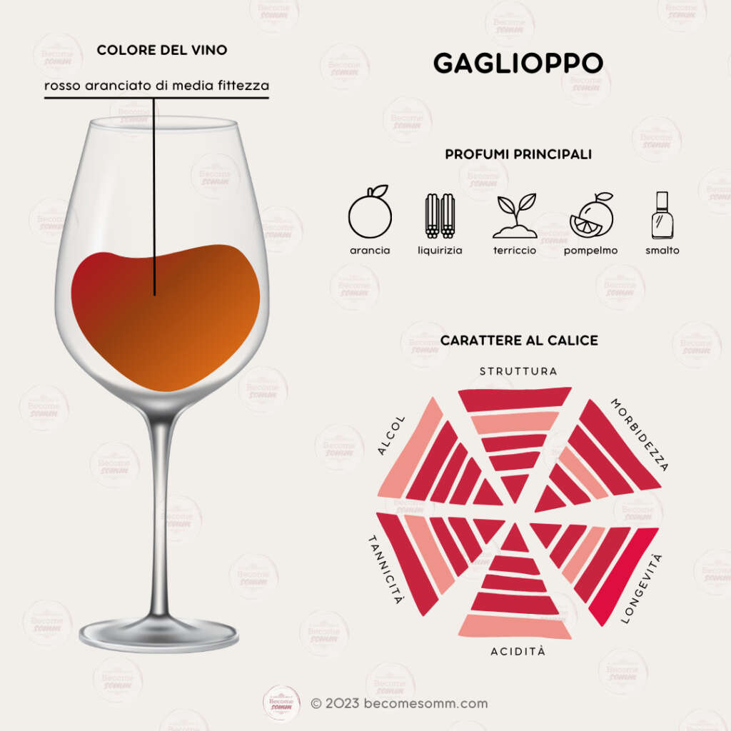 Profumi, sentori, sapori, aromas and flavours Gaglioppo al calice