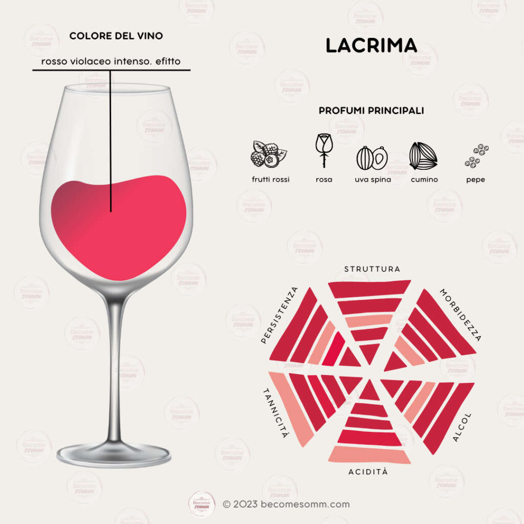 Profumi, sentori, sapori, aromas and flavours Lacrima al calice