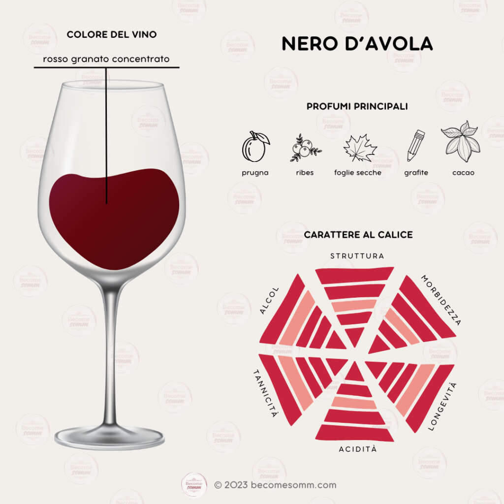 Profumi, sentori, sapori, aromas and flavours Nero d'Avola al calice