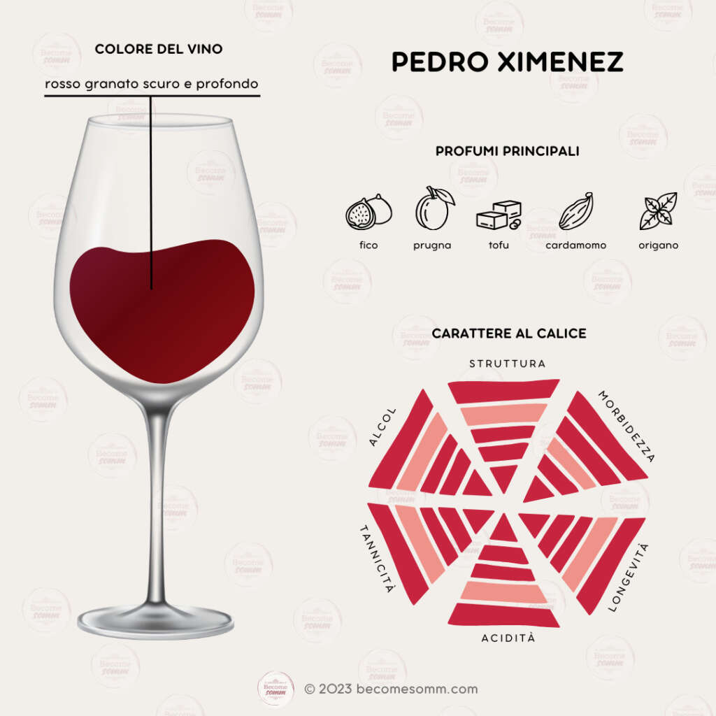 Profumi, sentori, sapori, aromas and flavours Pedro Ximenez al calice