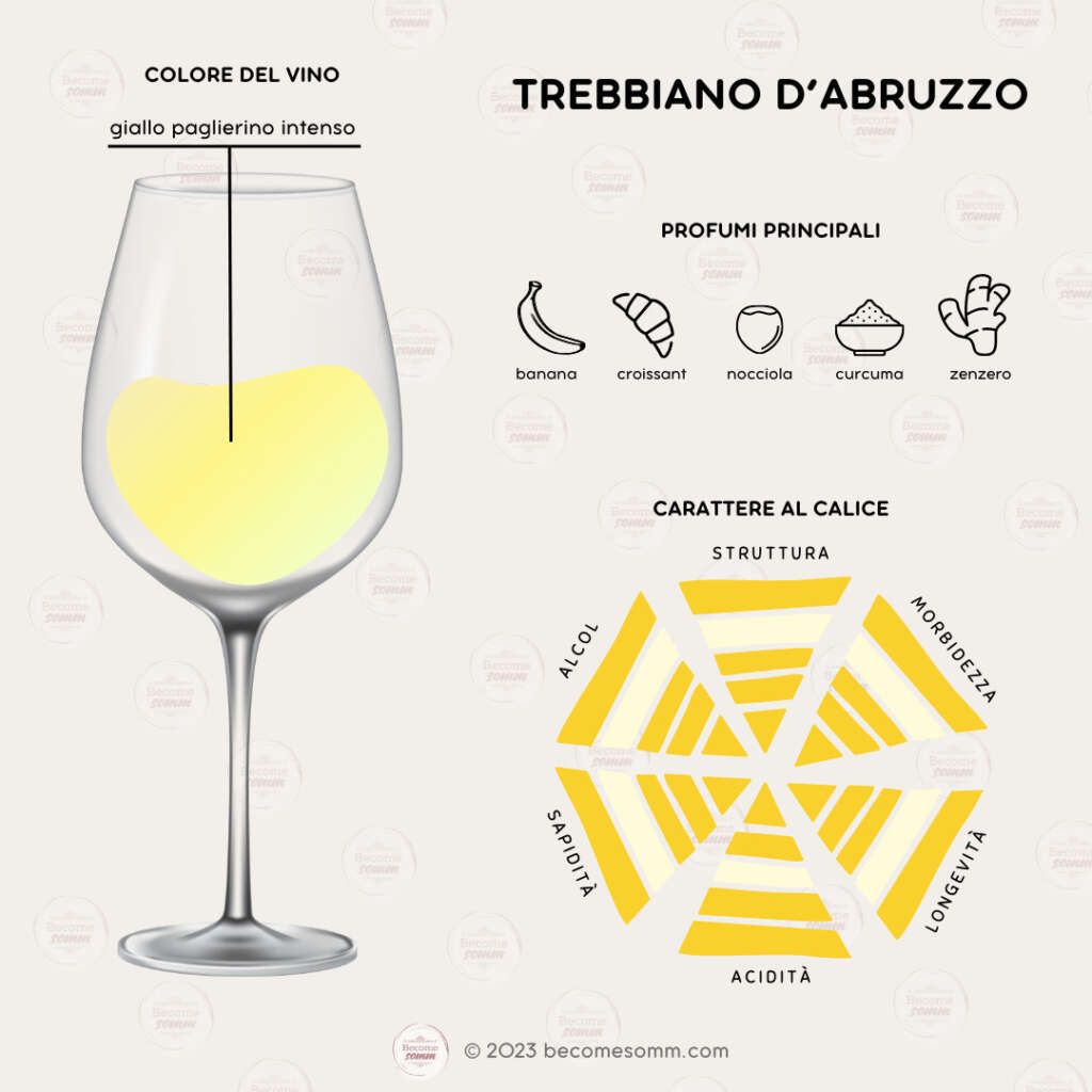 Profumi, sentori, sapori, aromas and flavours Trebbiano d'Abruzzo al calice