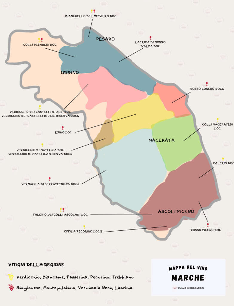 Wine map mappa del vino Marche