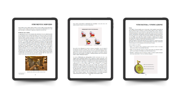 ebook-corso-vino-base-become-somm